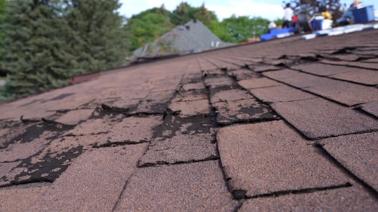 Best 4 Ply Roofing  in Stuarts Draft, VA