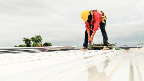 Best Gutter Installation and Repair  in Stuarts Draft, VA