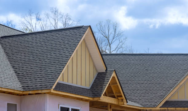 Best Rubber Roofing (EPDM, TPO)  in Stuarts Draft, VA